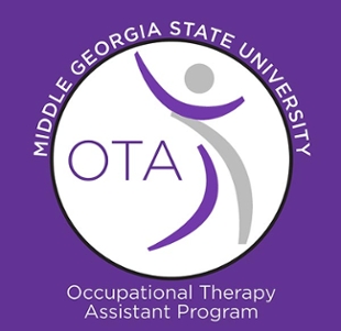 OTA Logo