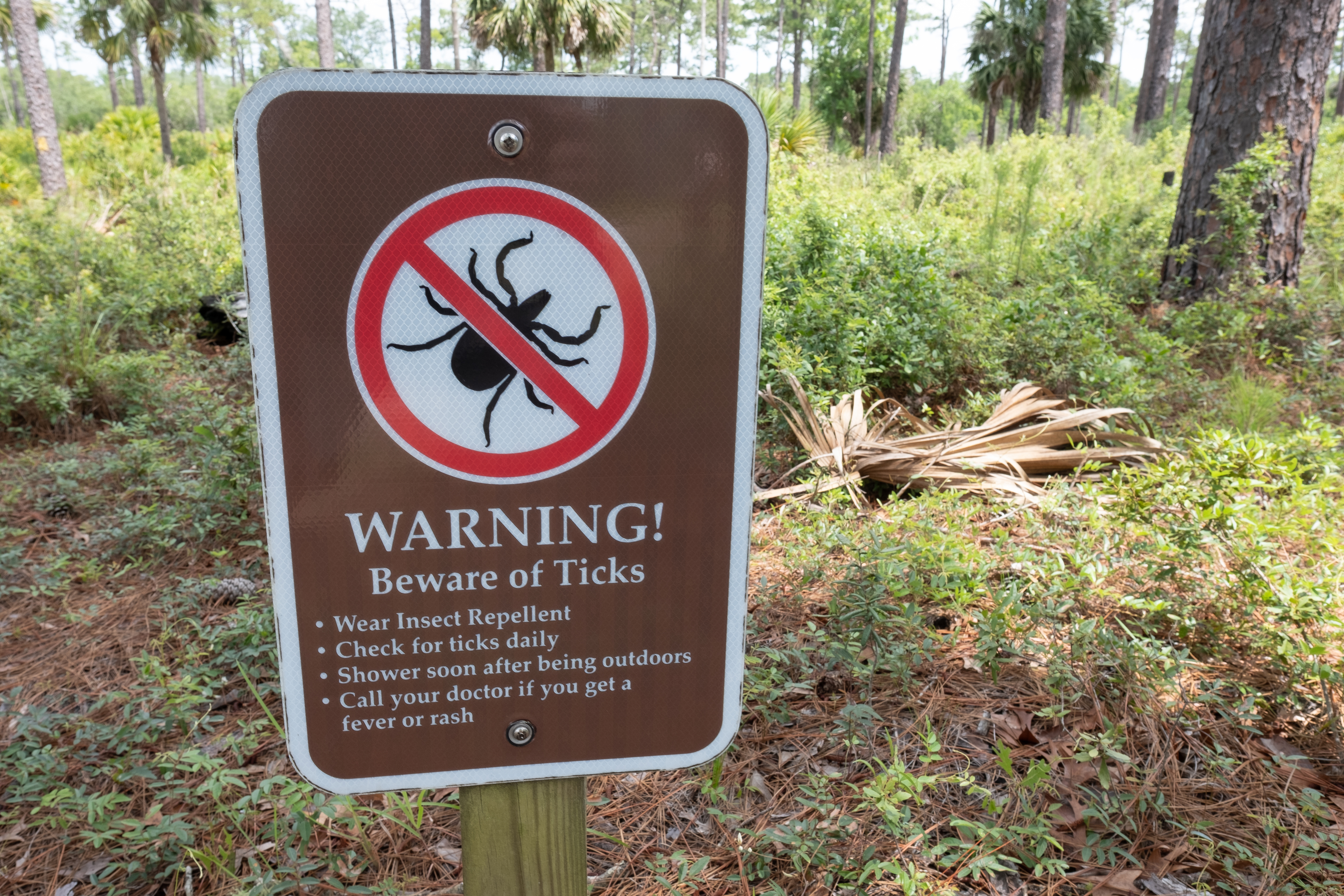 Let’s Talk Ticks: An MGA Faculty Q&A With Dr. Tyler Achatz