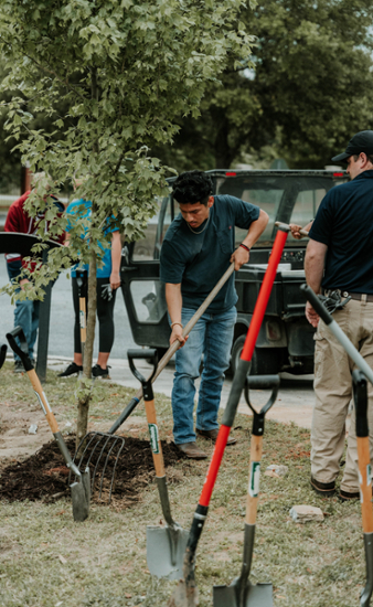 FFA student volunteer plants a Shadey Lane Compton Oak  on MGA's Macon Campus.