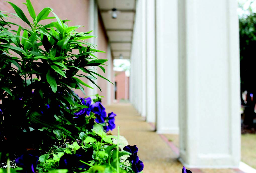 Landmark Year for MGA and Foundation