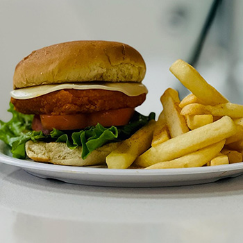 Photo of a chicken sandwich and French fries