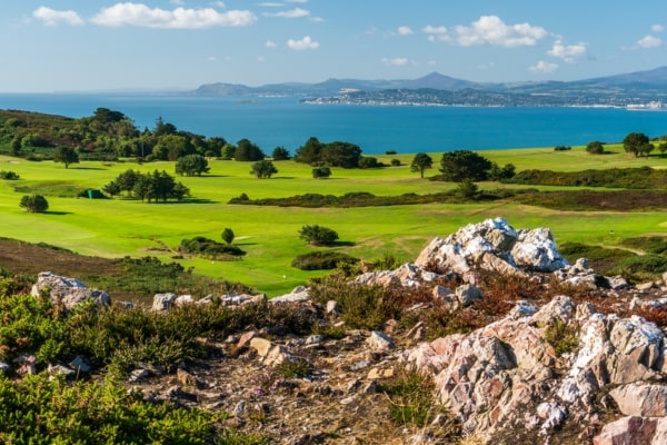 scenery of Ireland fields