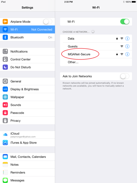 Apple IOS Wifi screen